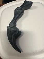 5 INCH RAPTOR CLAW REPLICA DINOSAUR FOSSIL NAIL UTAHRAPTOR TALON  