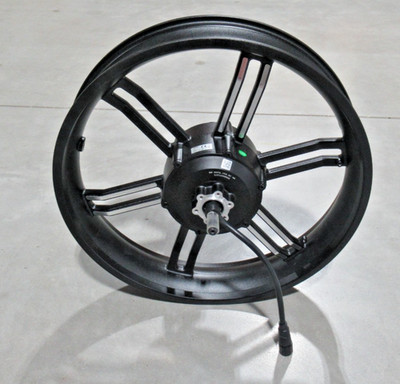Bafang 20'' x 4'' E Bike Rear Wheel Set W Hub Motor & Mag Rim 20'', 48V, 750W OEM
