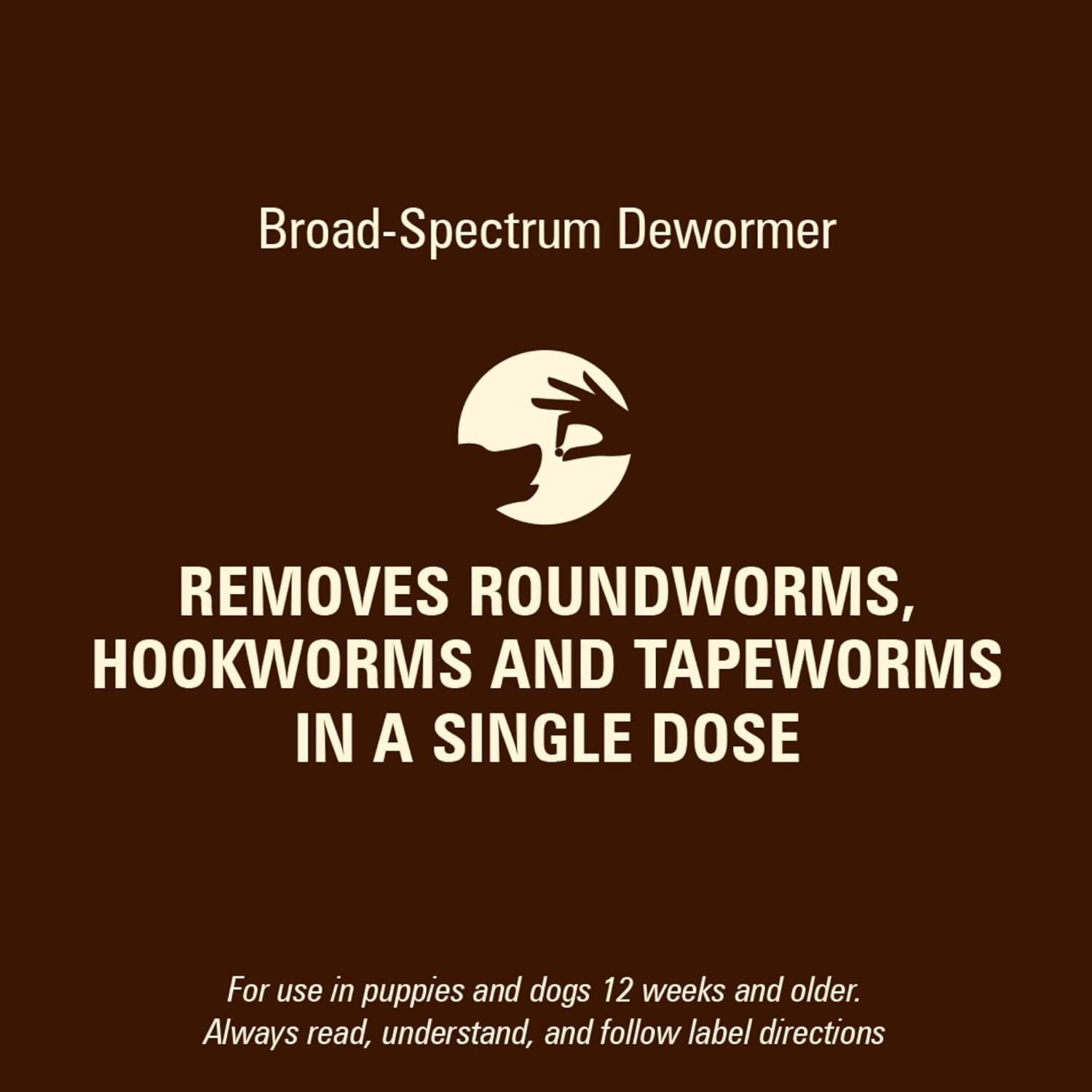 Slide 7