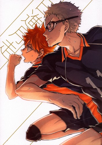 Doujinshi Tatami half (internal organs) Nisshin Month running (Haikyuu!! Sho...