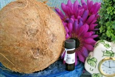 NEW NATURAL COCONUT SPICED WHISKEY PREMIUM FRAGRANCE BODY OIL--4ml.