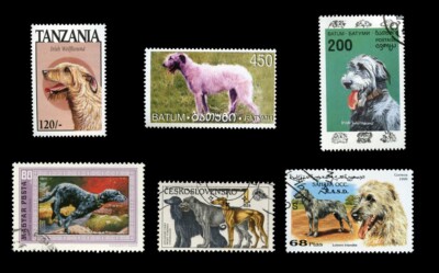 IRISH WOLFOUND WOLF HOUND HUND INTERNATIONALE BRIEFMARKEN Sammlung x 6