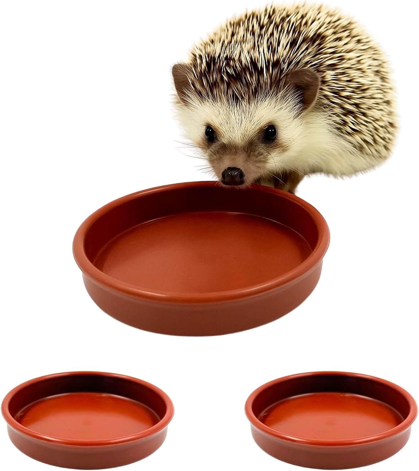 Hedgehog Bowl for Food and Water (Pack of 3) Hedge Hog Feeding Bowls Outdoor Wil