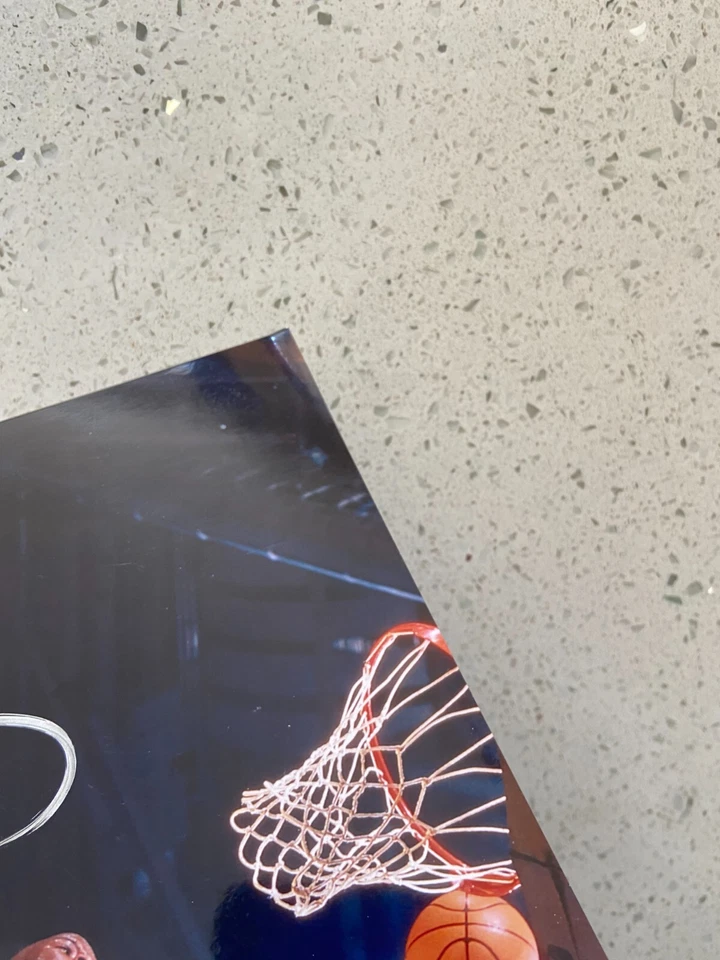 FOTO 8X10 FIRMADA POR JERMAINE ONEAL INDIANA PACERS PELEA PISTONES PALACIO JSA Foto 2 de 3