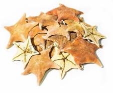 Estrella de mar de murciélago concha de mar playa boda artesanía real 3" - 4" (14 piezas) #JC-053