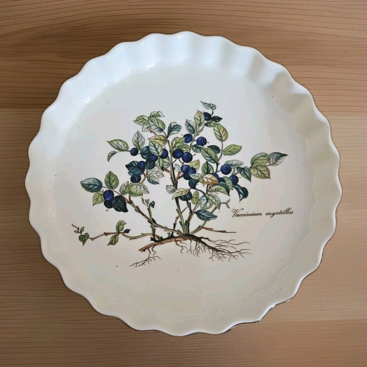 Villeroy Boch Ceramic Botanica Vaccinium Myrtillus 8" Quiche Pan HARD TO FIND