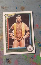 2023 Panini Chronicles WWE - Classics Scott Hall #153