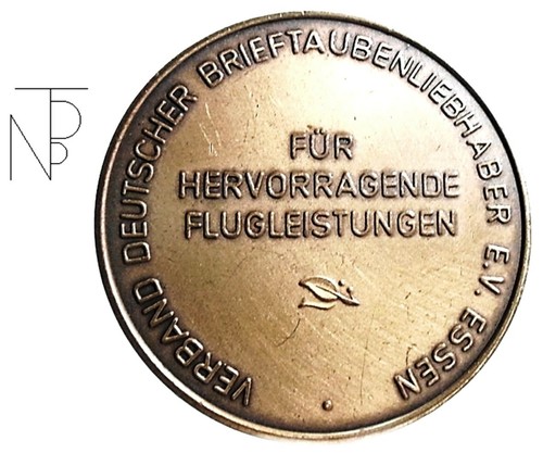 Germany-Essen (Für Hervorragende Flugleistungen) Medal - Imagen 2 de 9