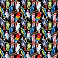 Exotic Birds : Gift 12" X Decal Vinyl Sticker Sheet Pattern Parrot Macaw