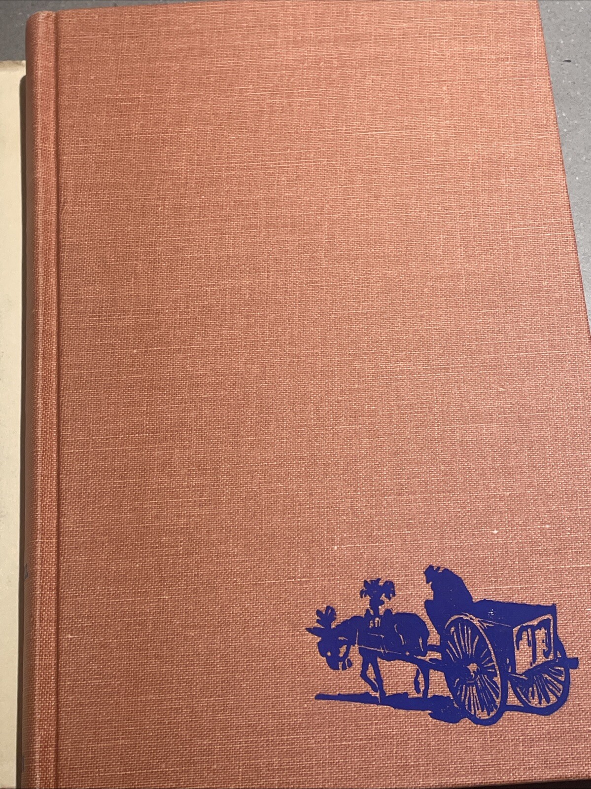 Picture 4 of 13