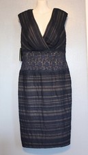 NWT Tadashi Shoji Navy Blue Chiffon Lace Sleeveless Sheath Dress 10