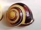 Bild 13 von 13