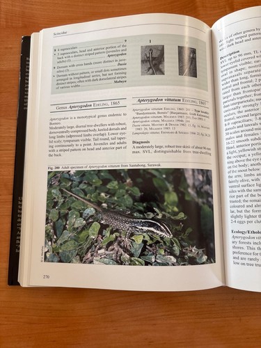 Amphibians and Reptiles of Mount Kinabalu, (North Borneo), Rare Book, OOP, NM - Picture 13 of 15
