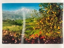 Winter in Southern California Oversize Postcard