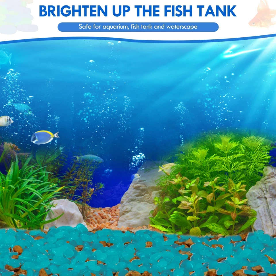 1000 piezas Piedras Brillantes Rocas Brillantes Guijarros Luminosos para Exterior Dec... Foto 4 de 4