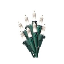 Holiday Wonderland 100 Ct LED Mini Light Set, Warm White, Green Wire