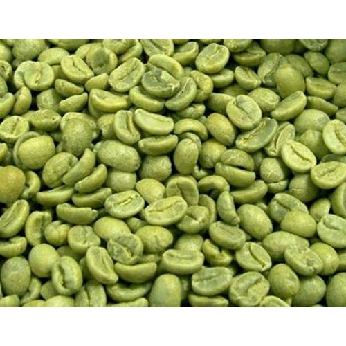 Green Robusta coffee beans - loose coffee beans, Coffea robusta - Picture 8 of 8