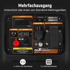 Bild 12 von 13