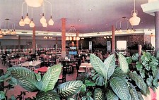 St Petersburg Florida FL Driftwood Cafeteria Skyway Blvd Vtg Postcard E48
