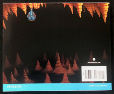 2nd Grade - EnVision Math 2.0 - STUDENT WORKBOOK (Vol. 2) (2017