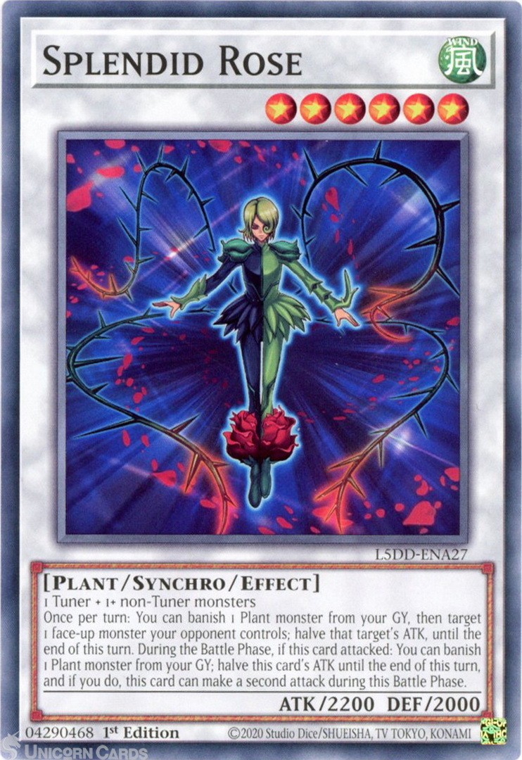 L5DD-ENA27 Splendid Rose : Common 1st Edition Mint YuGiOh Card