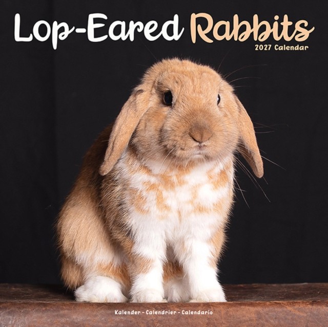 Lop-Eared Rabbits Calendar 2027 - Image 4