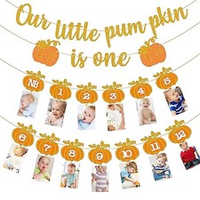 1st Birthday Photo Banner Autumn Pumpkin Photo Banner for Newborn Fall Pumpkin