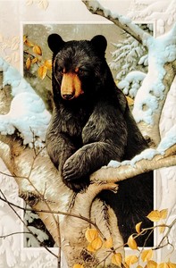 16 boxed embossed christmas cards black bear birch tree ebay
