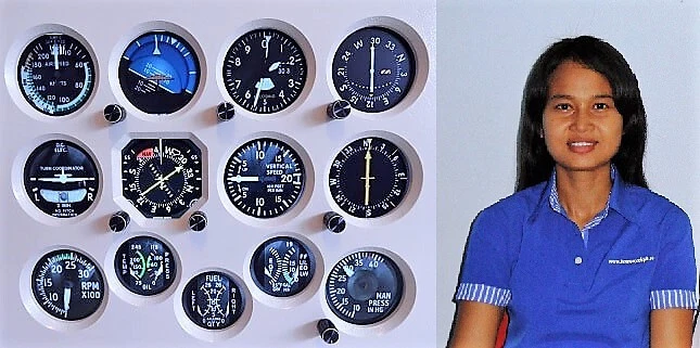 Homecockpit NGH Cessna 172 Panel + Controller + Cable MSFS2020/MSFS2024 - XPlane - Bild 4 von 4