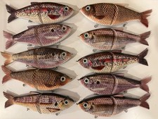 TYG Silencer Glide bait swimbait custom 7 inch 10 pack Glide baits NEW