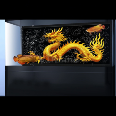 3D Aquarium Backgrounds: Stunning Designs to Transform Your Tank