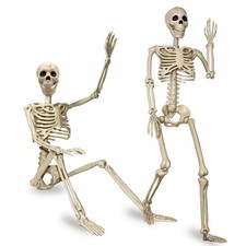 2 Pack 24" Life Size Posable Human Skeleton Halloween Decoration Full Body