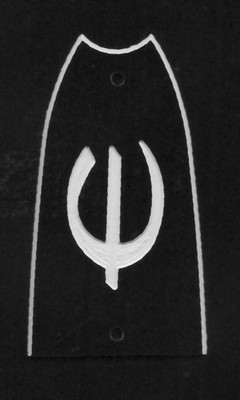 Epiphone 1960s 2-ply 2 Screw Short Logo Scallop Top Truss Rod Cover Guitar Bass