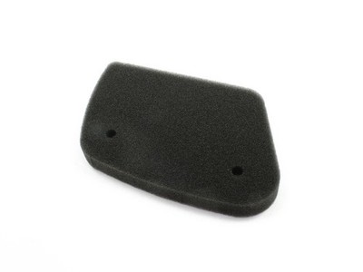 Luftfilter Athena S410010200006 für Aprilia Leonardo 125 Leonardo 150 1996-2005