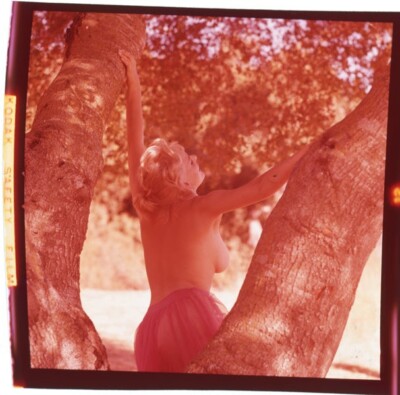 June Wilkinson Risque Busty Bare Back Photo Shoot Original 2 1/4