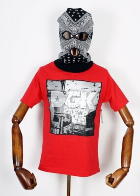 Dgk Skateboards T-Shirt Tee Corner Red in S Dirty Ghetto Kids