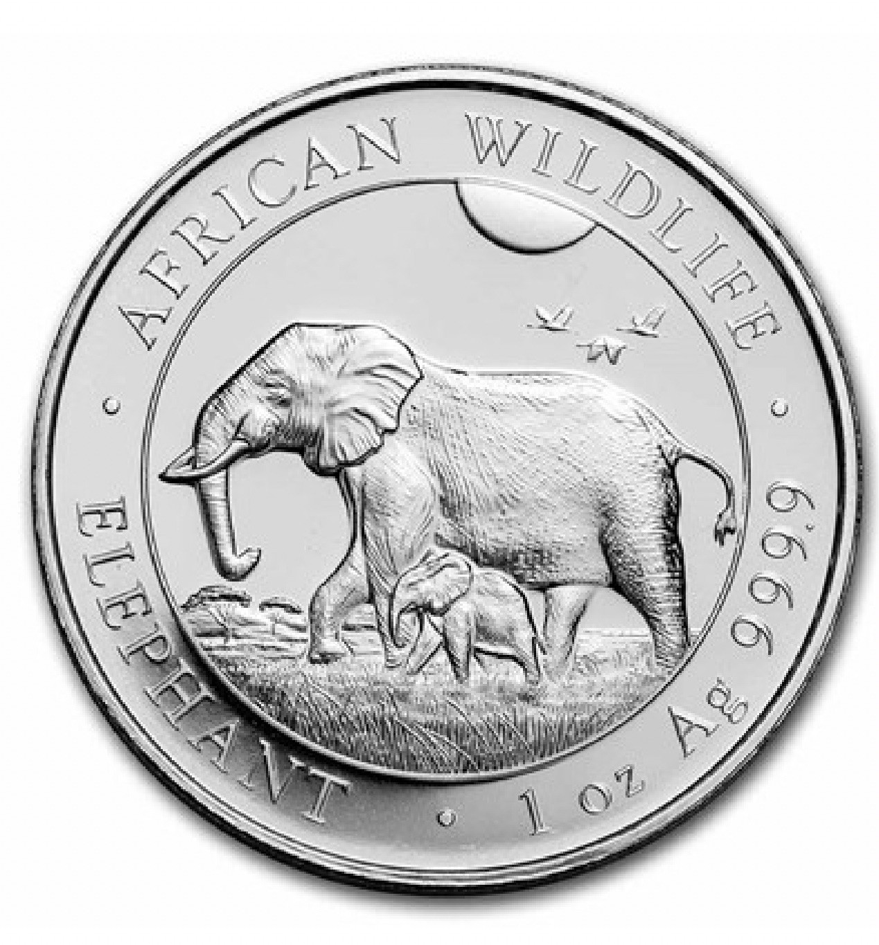 2022 Somalia 1 oz Silver Elephant Coin African Wildlife Design 100 Shillings BU