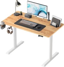 44"x24" Standing Desk Height Adjustable Electric Home Office Desk Stand up Table