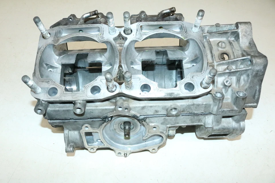 Arctic Cat F5 2008 motor Efi cárter cárter cárter estuches Foto 2 de 4