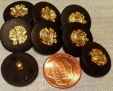 8 Matte Black & Gold Tone ALL PLASTIC Buttons Crown Crest 11/16" 18mm # 7537