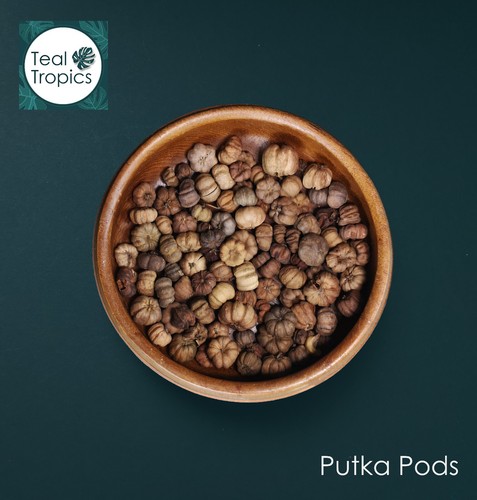 Terrarium Decoration Singles - Pebbles Gravel Stones Soil 150g Crafts Pot Topper - Picture 46 of 51