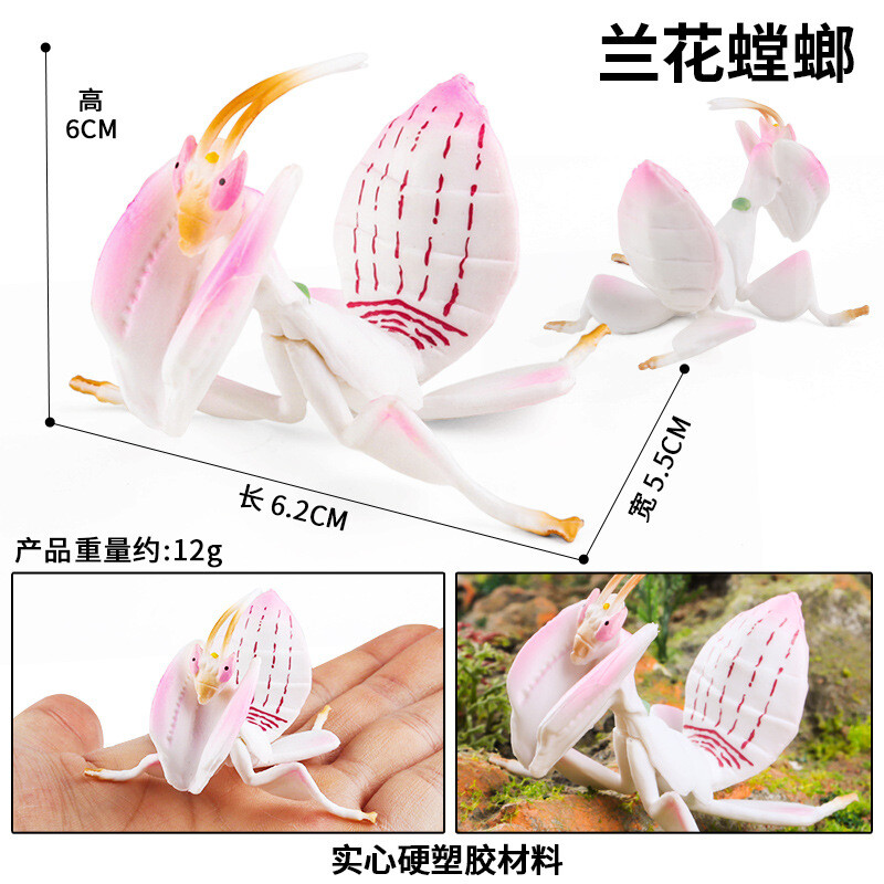 6.2cm Orchid Praying Mantis Insects PVC Toy Grasshopper Animal