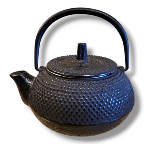 Traditional Japanese Tetsubin Cast Iron Teapot With Tea Filter In GUC