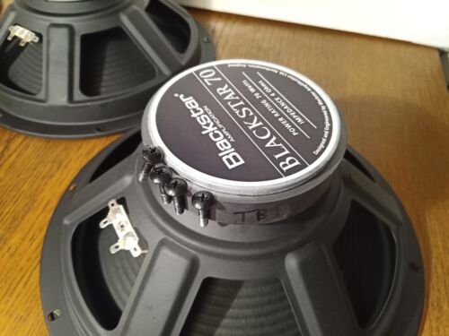 Blackstar 70 12" 4 Ohm 70W Speaker Driver Woofer From ID 260 TVP Combo Amp - Picture 10 of 12