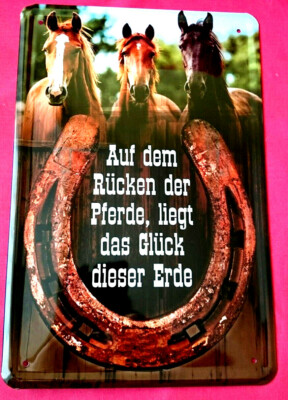 Blechschild 20x30 Glück der Erde Rücken der Pferde Spruch Reiter