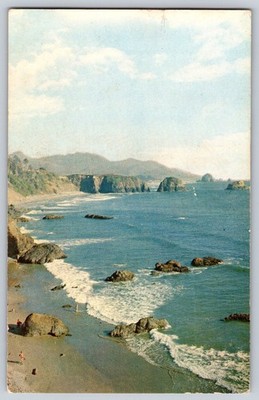Ecola State Park Looking South Oregon OR Coast Postcard by F.D. Silkey