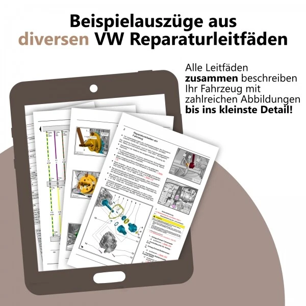 Bild 2 von 12