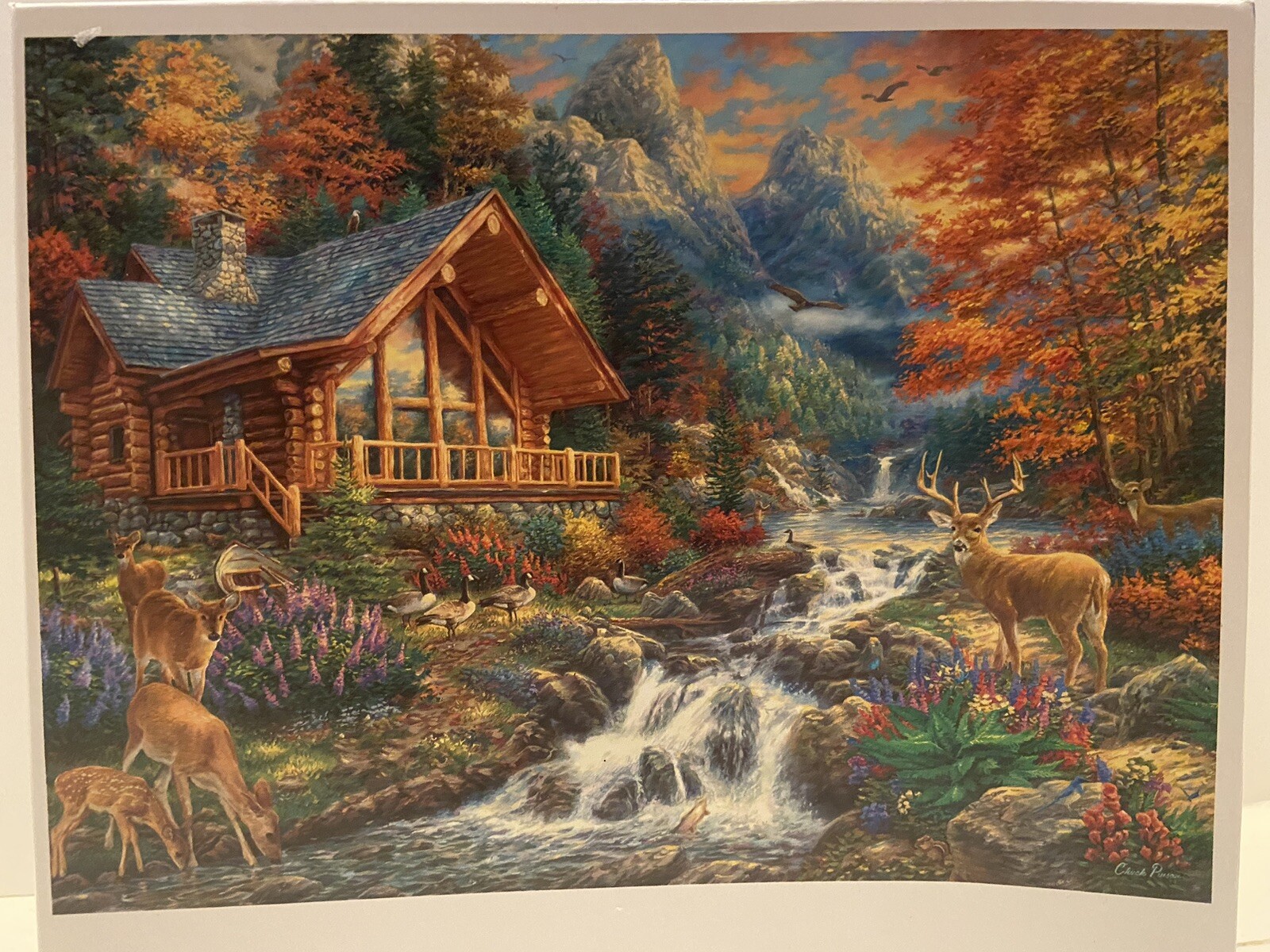 Picture 2 of 5