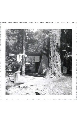 1950s Camping Photo: Family Car Tent Campsite Scene Canvas Snapshot - Outdoors