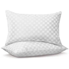 Standard Pillows Set of 2, Soft and Skin Friendly Down Alternative Pillow for...
